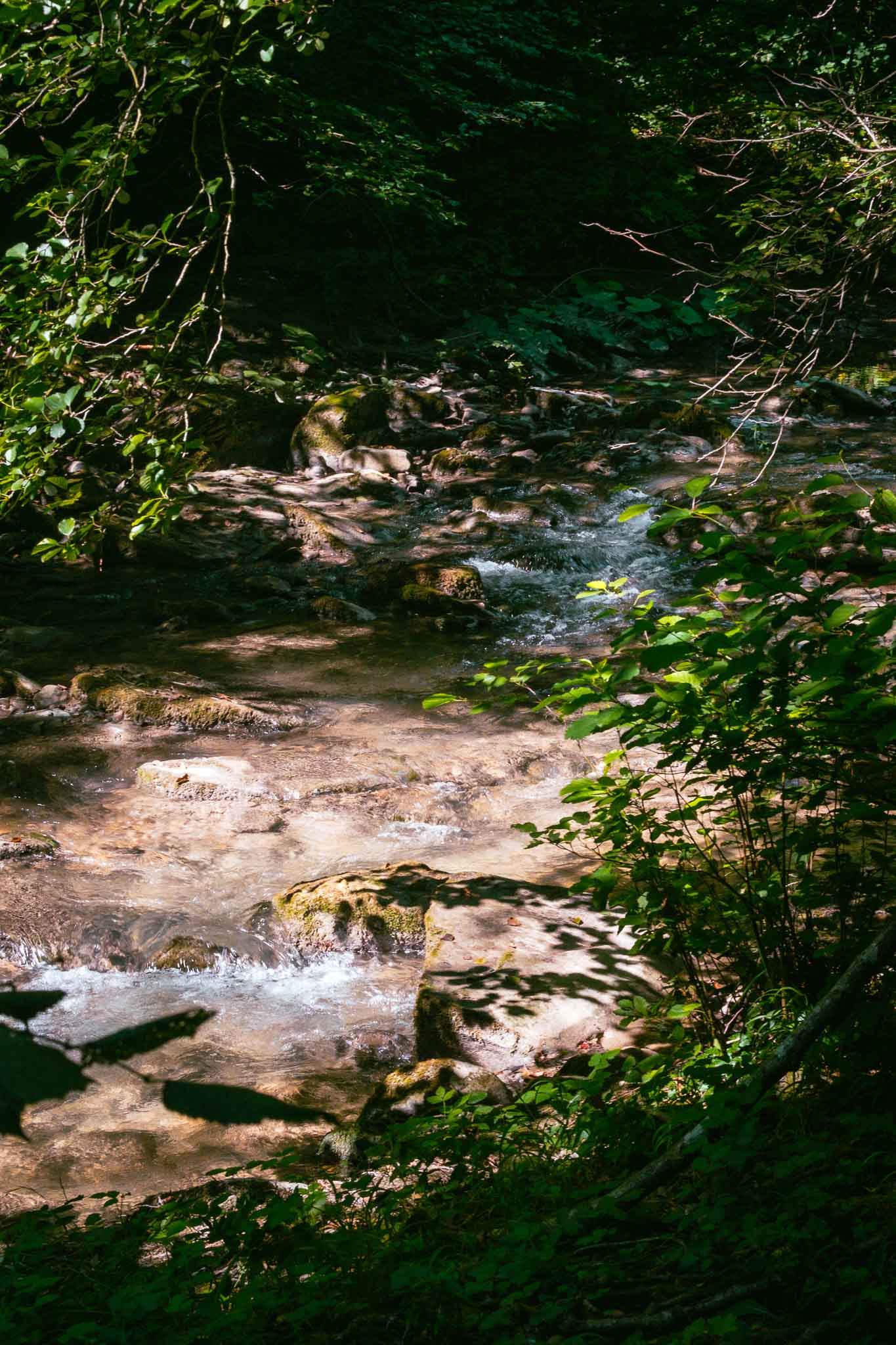 Acquacheta Waterfall